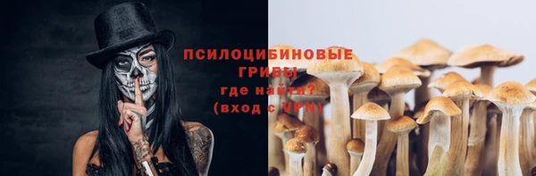 стафф Зеленокумск