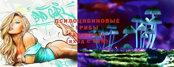 мдпв Зерноград