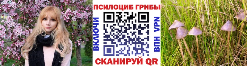 Купить  Вяземский  Псилоцибиновые грибы GOLDEN TEACHER 